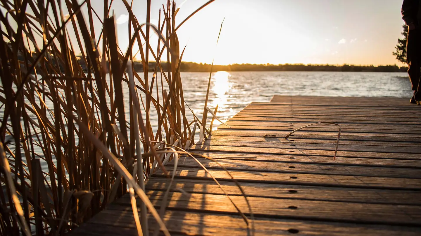 A timber jetty on the lake in Belconnen at sunset