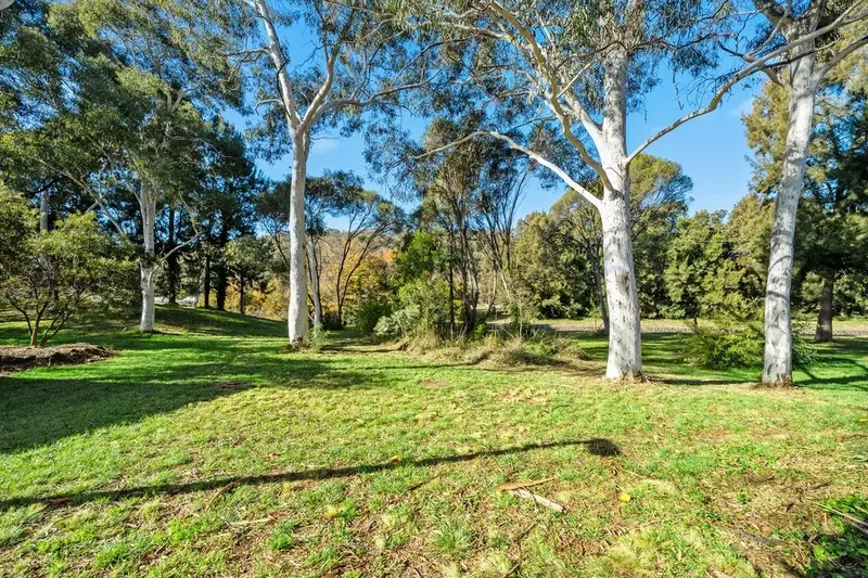 10 The Verge, Phillip ACT 2606, photo 20
