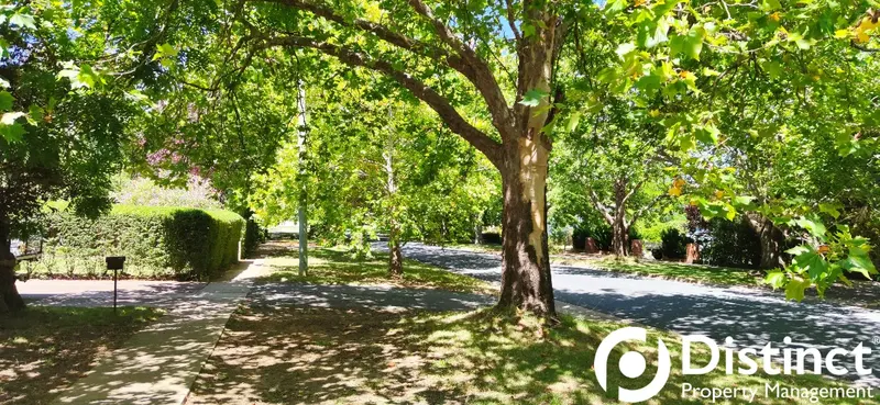 36 Cowper Street, Ainslie, photo 11