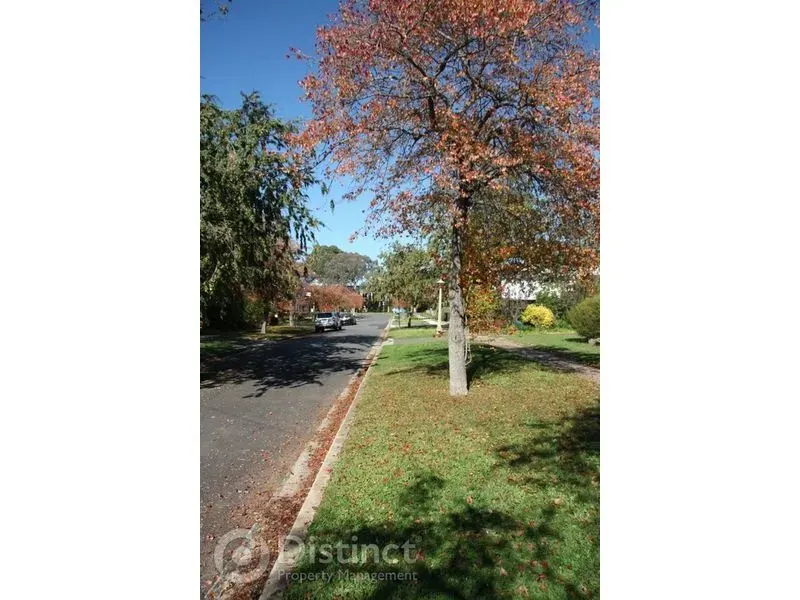 1/3 Bagot Street, O'connor, photo 14