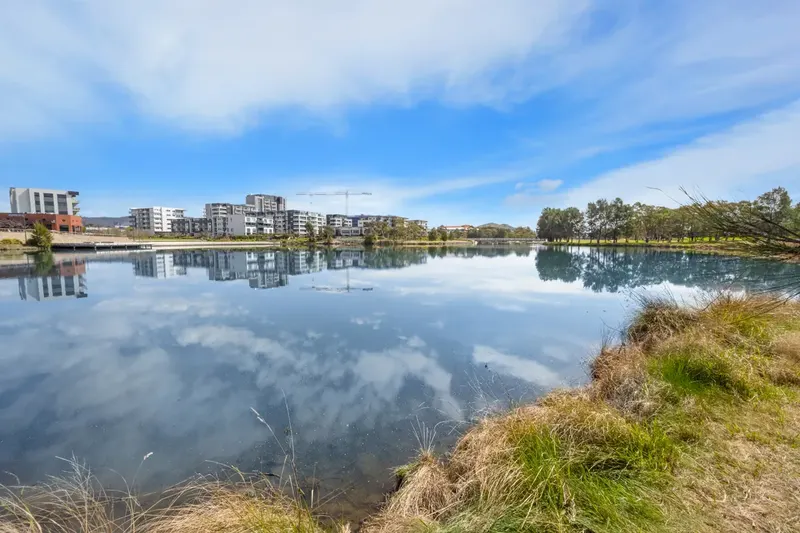 17/12 Ellison Harvie Close, Greenway, photo 16