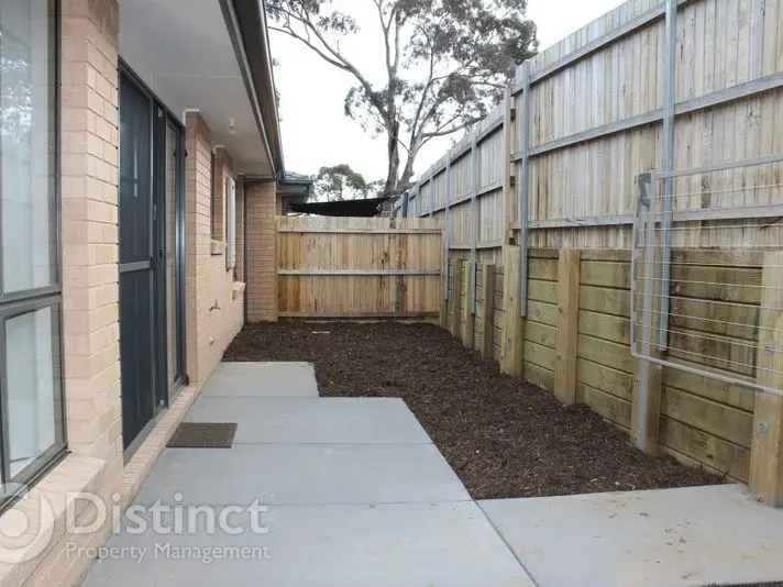 16 Phillipa Weeks Street, Watson, photo 11
