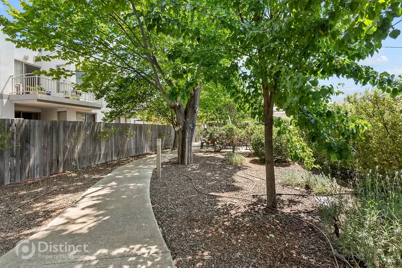 4/7 Coolac Place, Braddon, photo 15