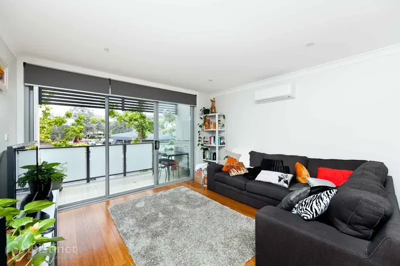 3/36 Petterd Street, Page, photo 3