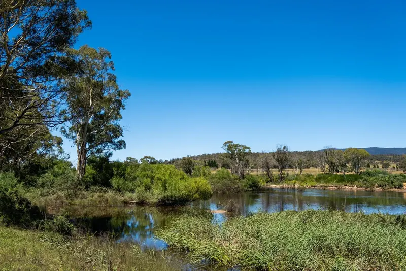 Sandholes Road, Braidwood NSW 2622, photo 11