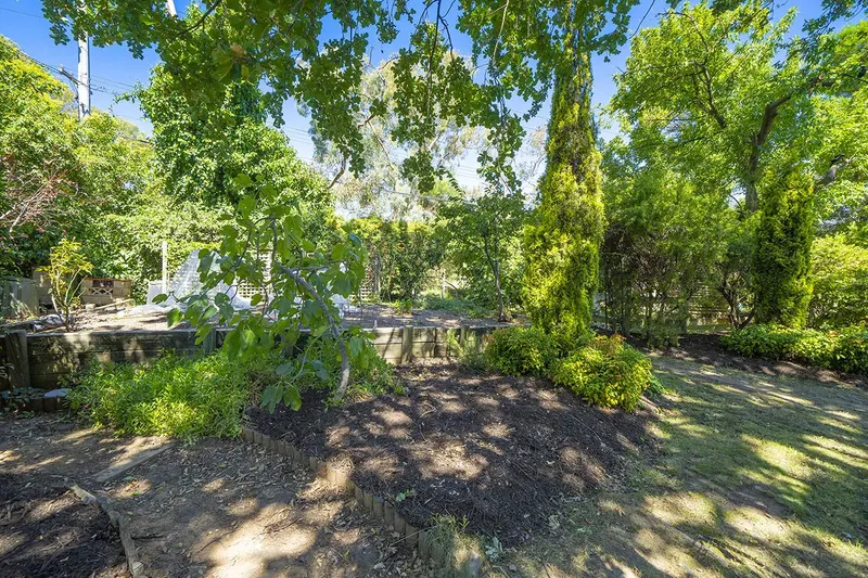 98 Vasey Crescent, Campbell, photo 16
