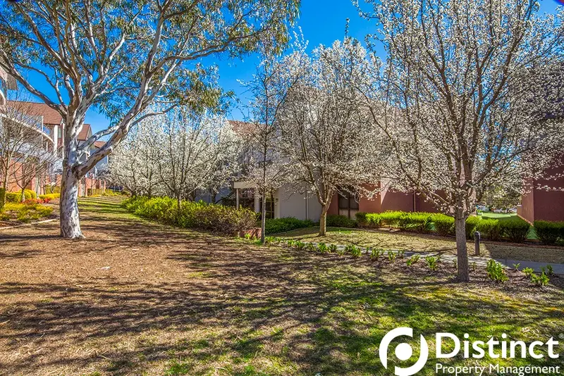 13/7 Hopegood Place, Garran, photo 11