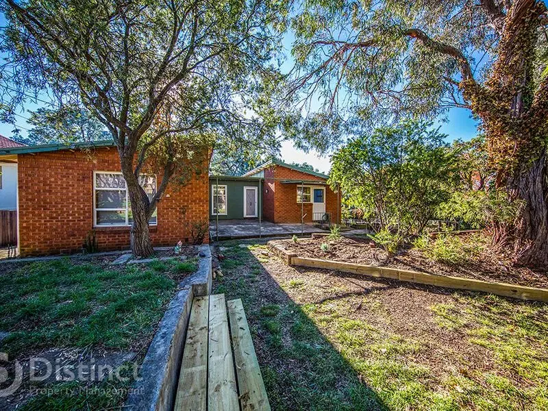 11 Hemmant Street, O'connor, photo 8