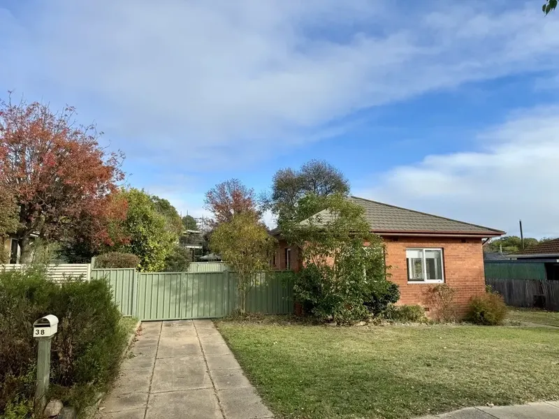 38 Mckinlay Street, Narrabundah, photo 13