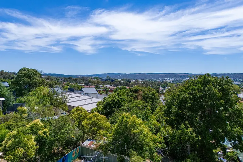 113 Tharwa Road, Queanbeyan West, photo 22