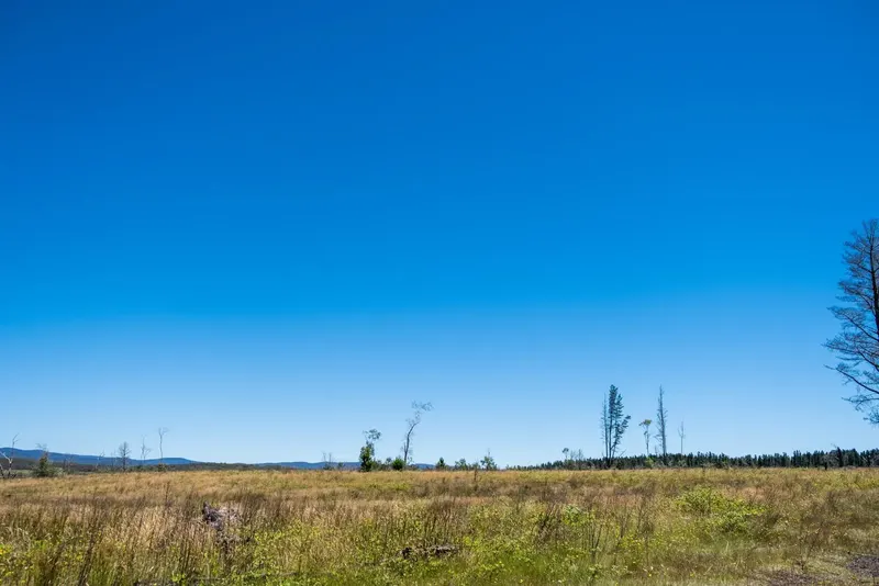 Sandholes Road, Braidwood, photo 14