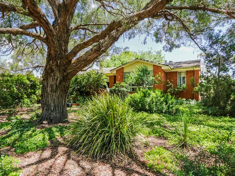 39 Nicholas Street, Higgins, photo 1