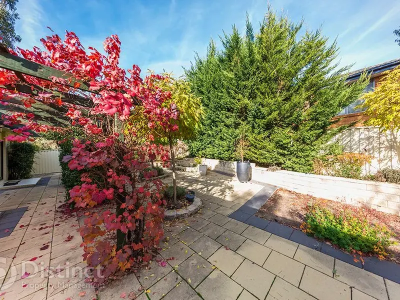 2 Adam Place, Farrer, photo 10