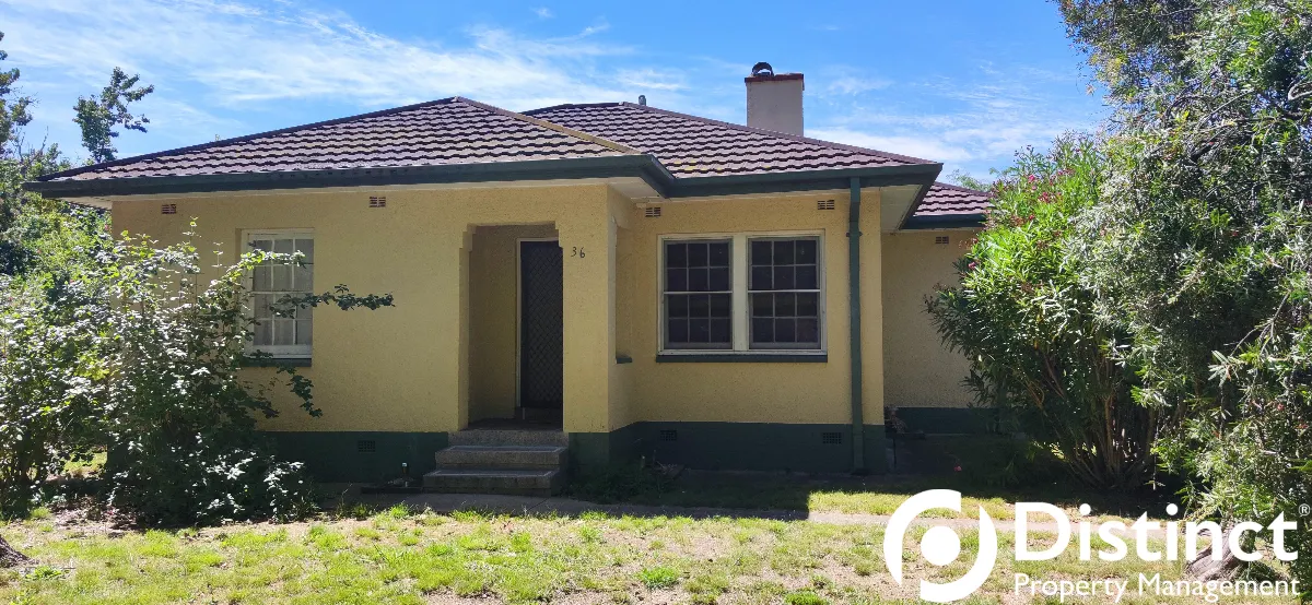 36 Cowper Street, Ainslie, photo 1