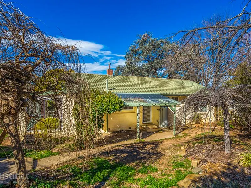 35 Collier Street, Curtin, photo 1
