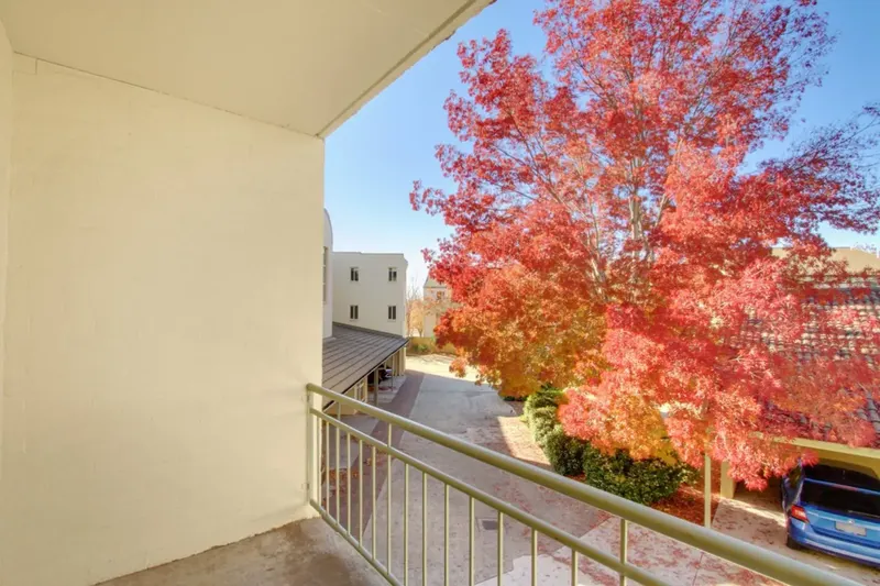 7/2 Antis Street, Phillip, photo 9