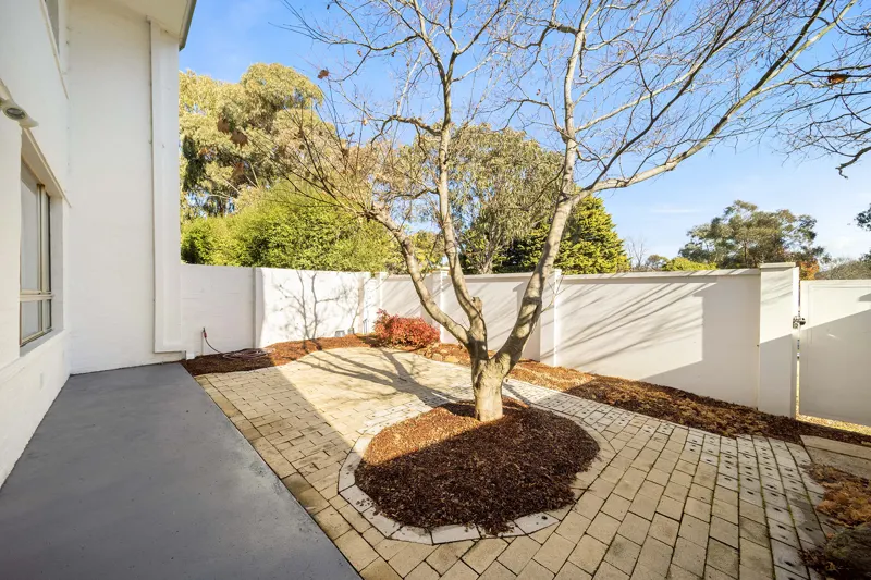11/1 Lambrigg Street, Farrer, photo 15