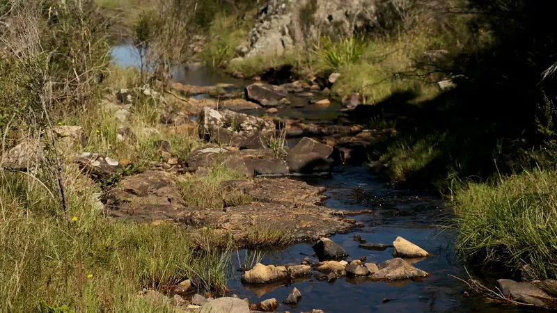 Sandholes Road, Braidwood, photo 19