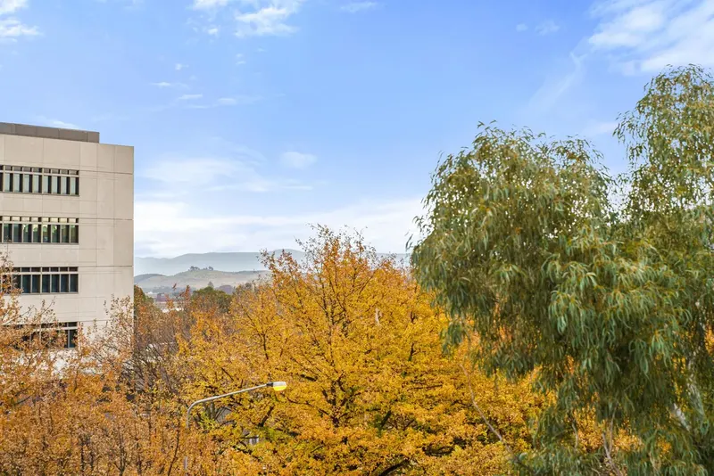 13/81 Constitution Avenue, Campbell, photo 19