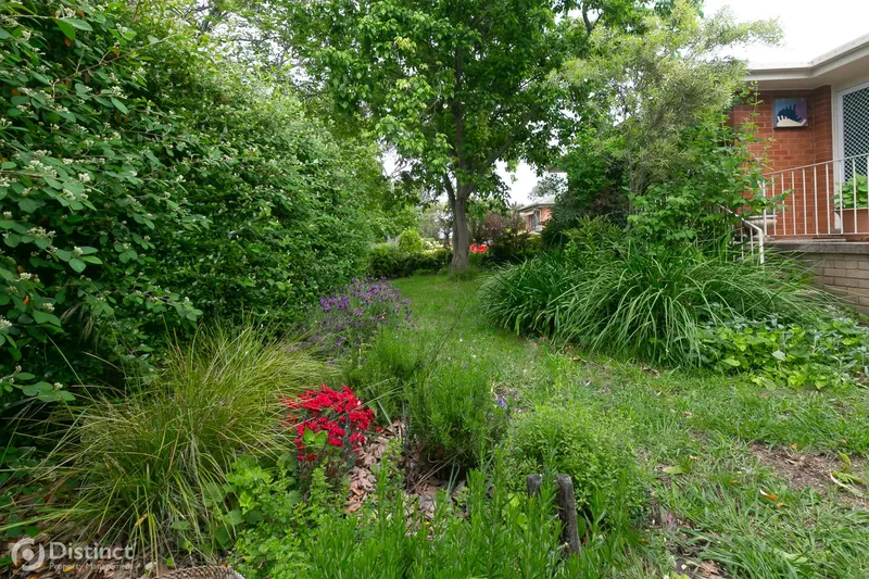 35 Madigan Street, Hackett, photo 16