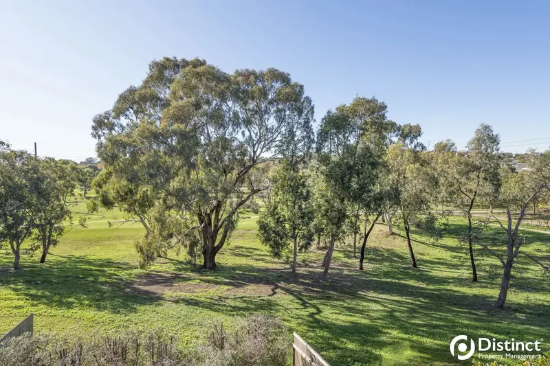 14 Taggerty Street, Ngunnawal, photo 12
