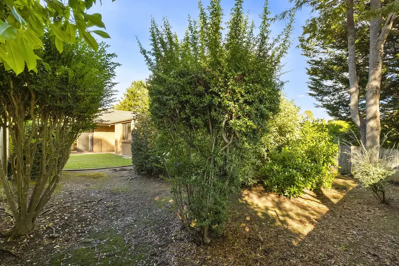 6/21 Hargrave Street, Scullin, photo 20