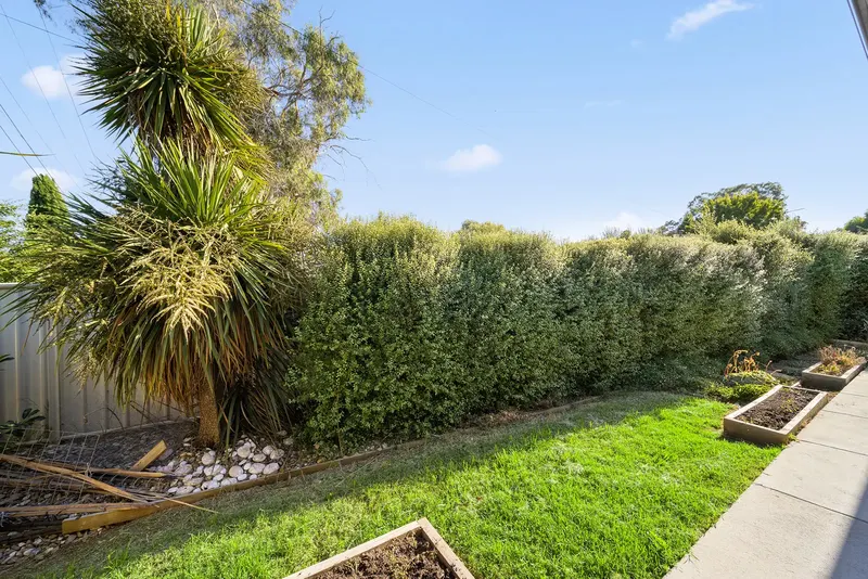 41a Spica Street, Giralang, photo 13