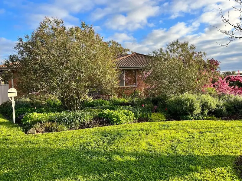 46 Santalum Street, Rivett, photo 5