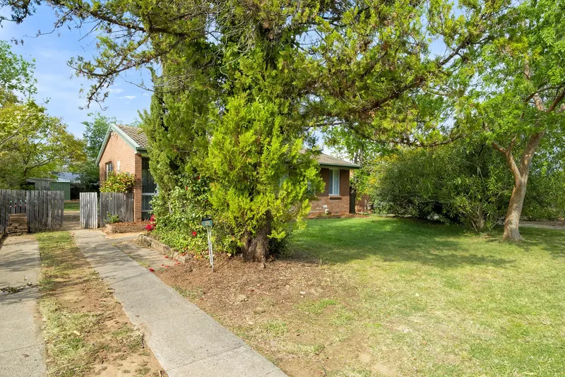22 Cadell Street, Downer, photo 2