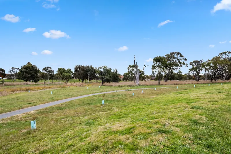14 Wombeyan Street, Harrison, photo 21