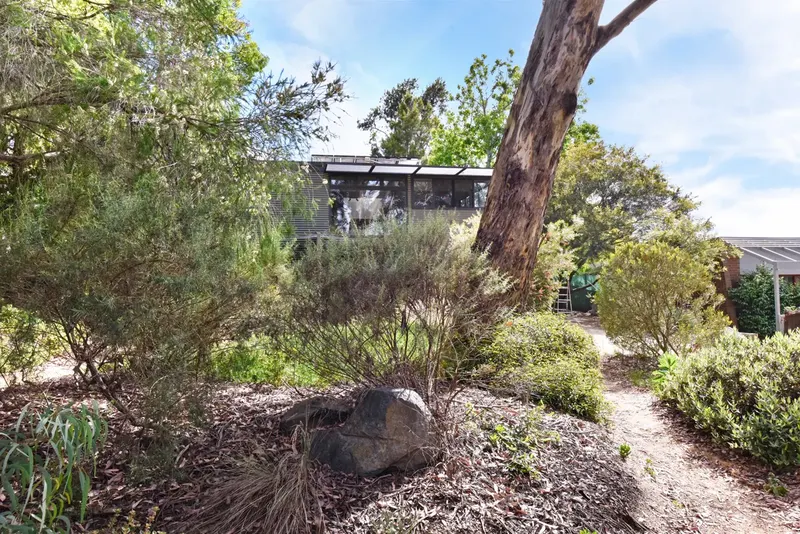 8 Blackbutt Street, O'connor, photo 15