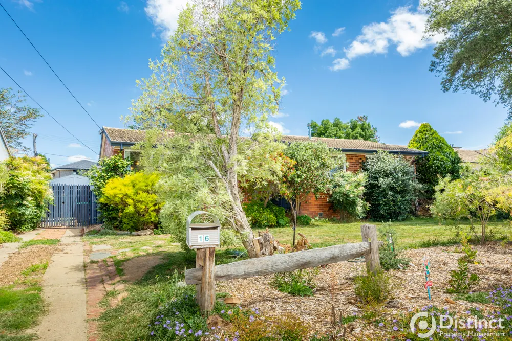 16 Dutton Street, Dickson, photo 1
