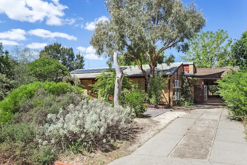 25 Wolff Crescent, Latham, photo 4