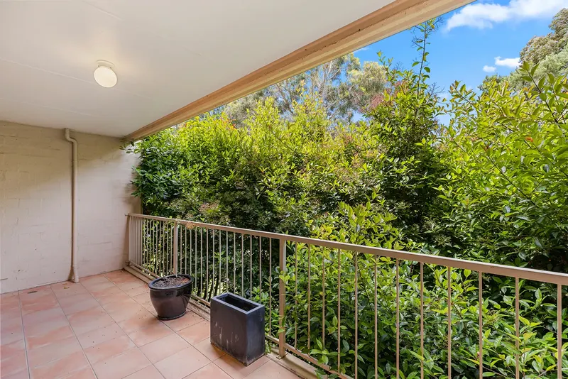 13/23 Aspinall Street, Watson, photo 11