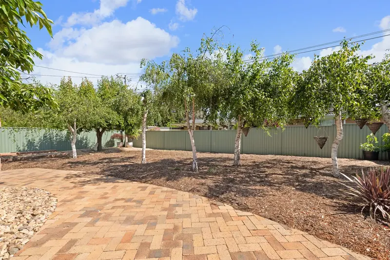 36 Castieau Street, Higgins, photo 16