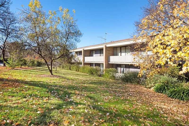 3c/52 Deloraine Street, Lyons, photo 8