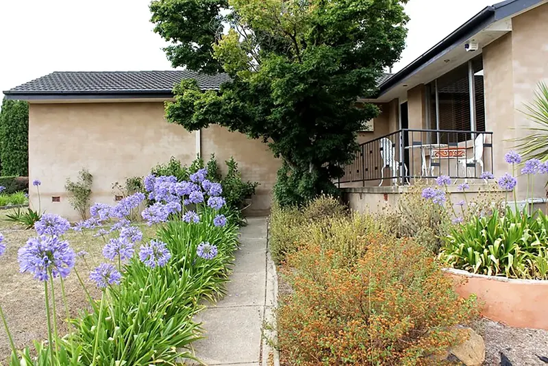 44 Macfarland Crescent, Chifley, photo 14
