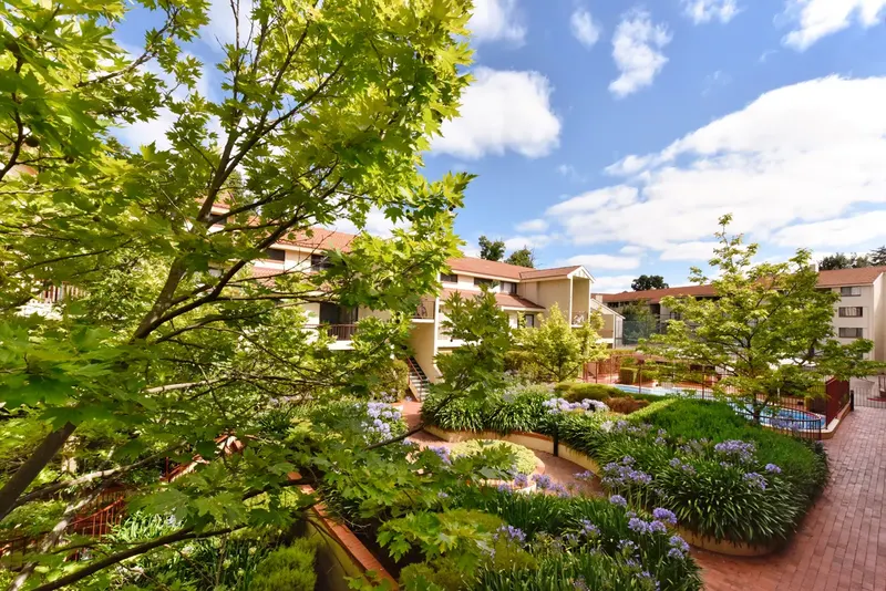 50/14 Boolee Street, Reid