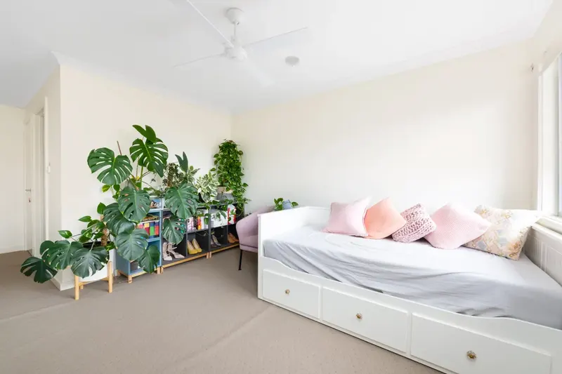 25 Errol Street, Crace, photo 6