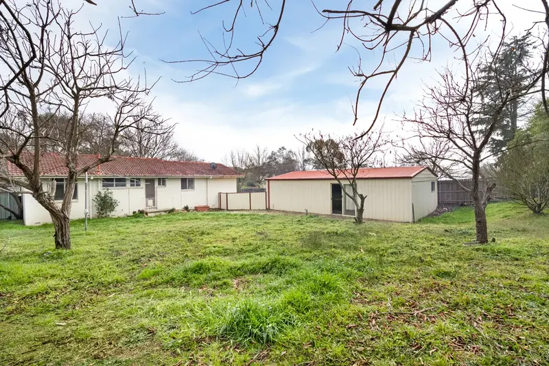115 Osburn Drive, Macgregor, photo 10