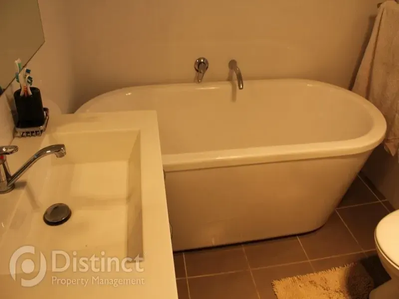 8 Dalgleish Close, Spence, photo 7