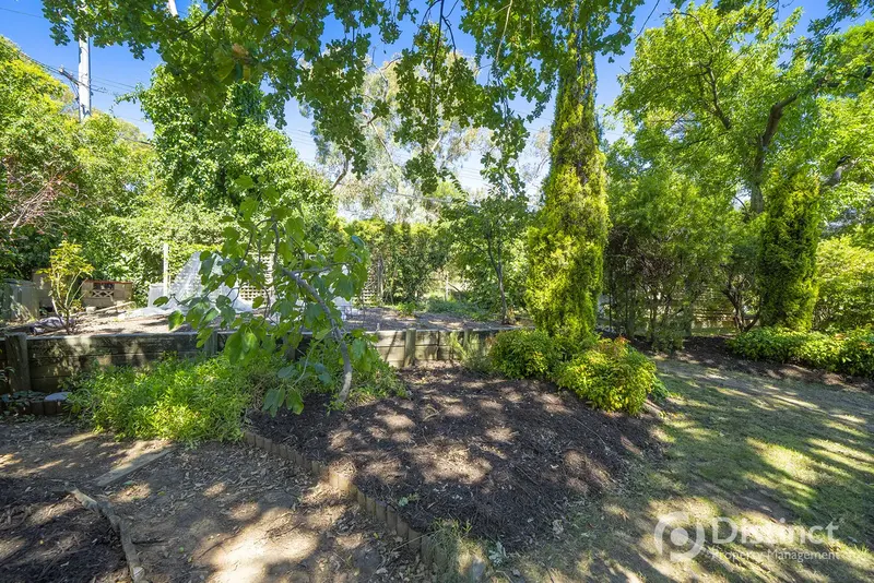 98 Vasey Crescent, Campbell, photo 15