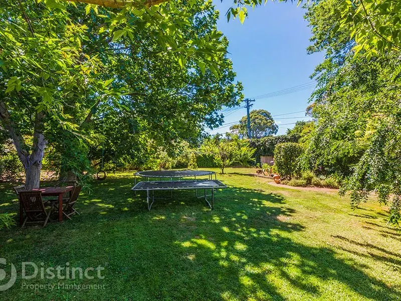 4 Steele Street, Hackett, photo 9