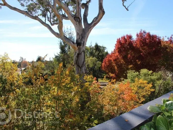 5/30 Gatton Street, Farrer, photo 7