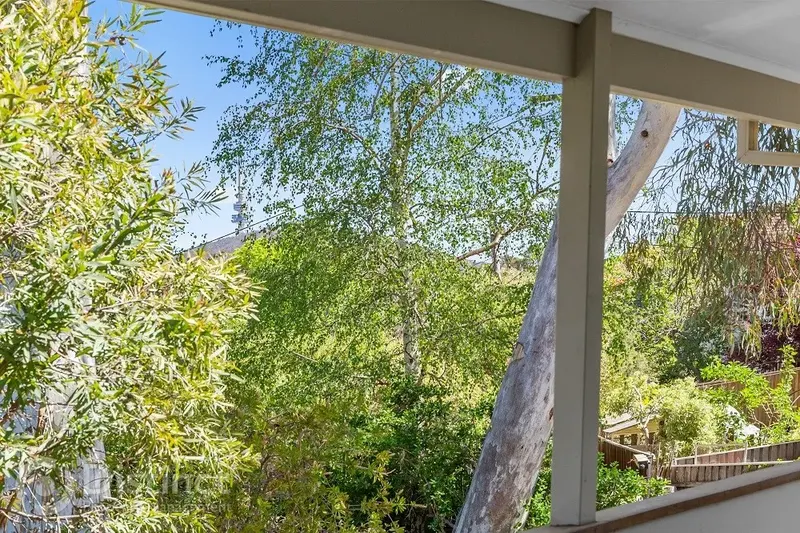 47 Clianthus Street, O'connor, photo 2