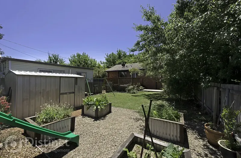 11 Dickinson Street, Watson, photo 20