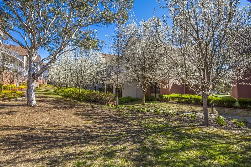 13/7 Hopegood Place, Garran, photo 12