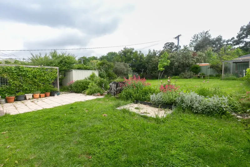 35 Madigan Street, Hackett, photo 12