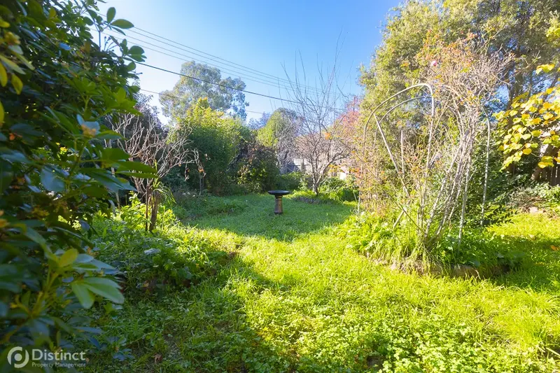15 Allwood Street, Chifley, photo 14