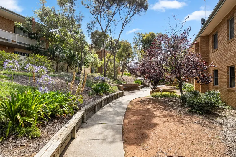 11/51 Totterdell Street, Belconnen, photo 12